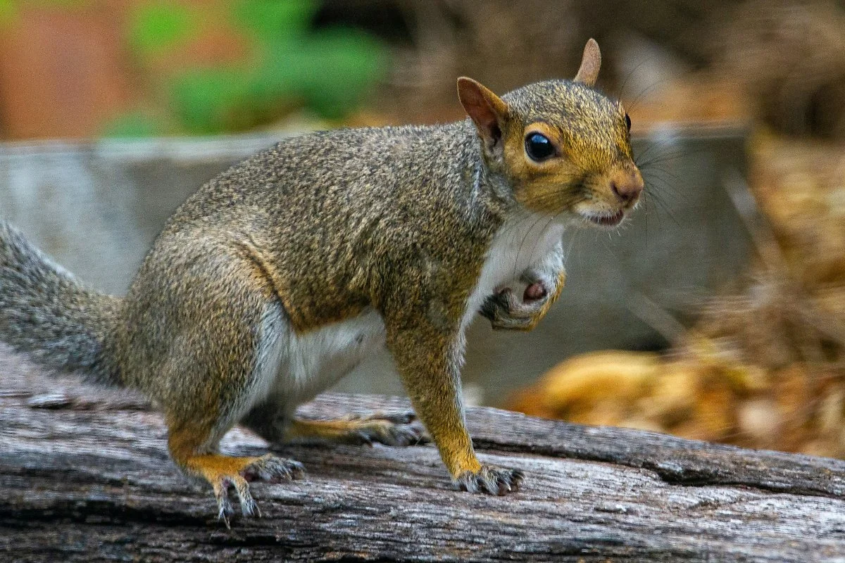 joshua-j-cotten-X0eIvVbh2w4-unsplash.jpg?type=w1200