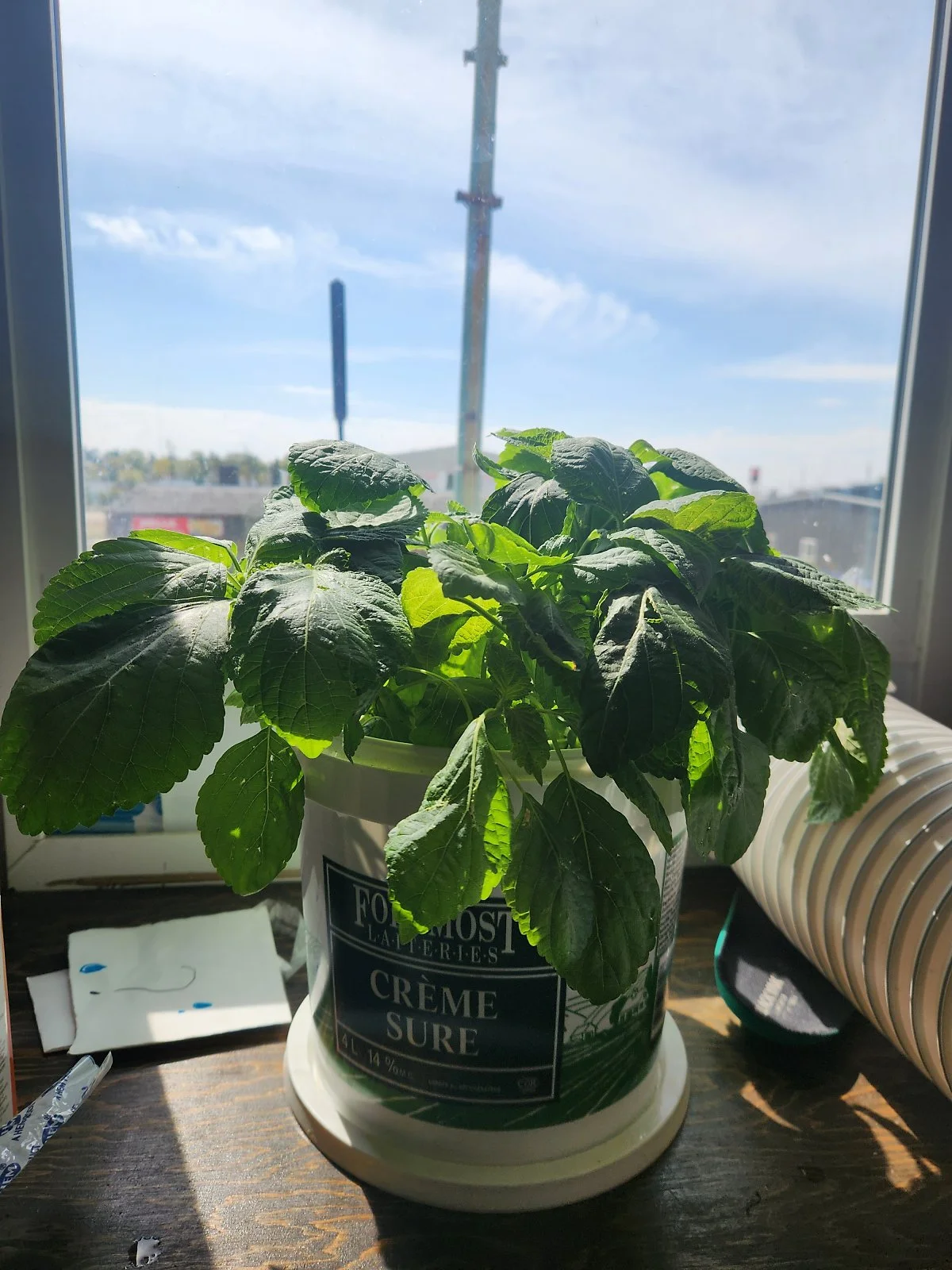 KakaoTalk_20230920_110849833_16.jpg?type=w1200