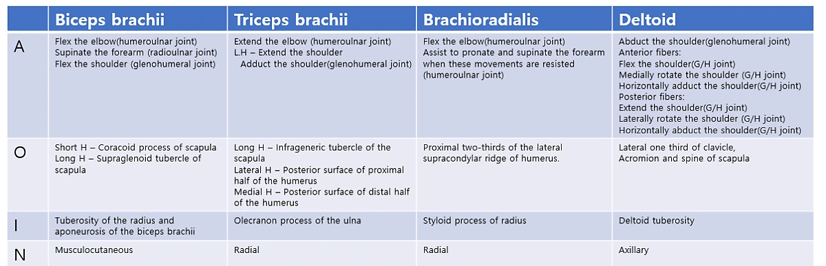 image.png?type=w1200
