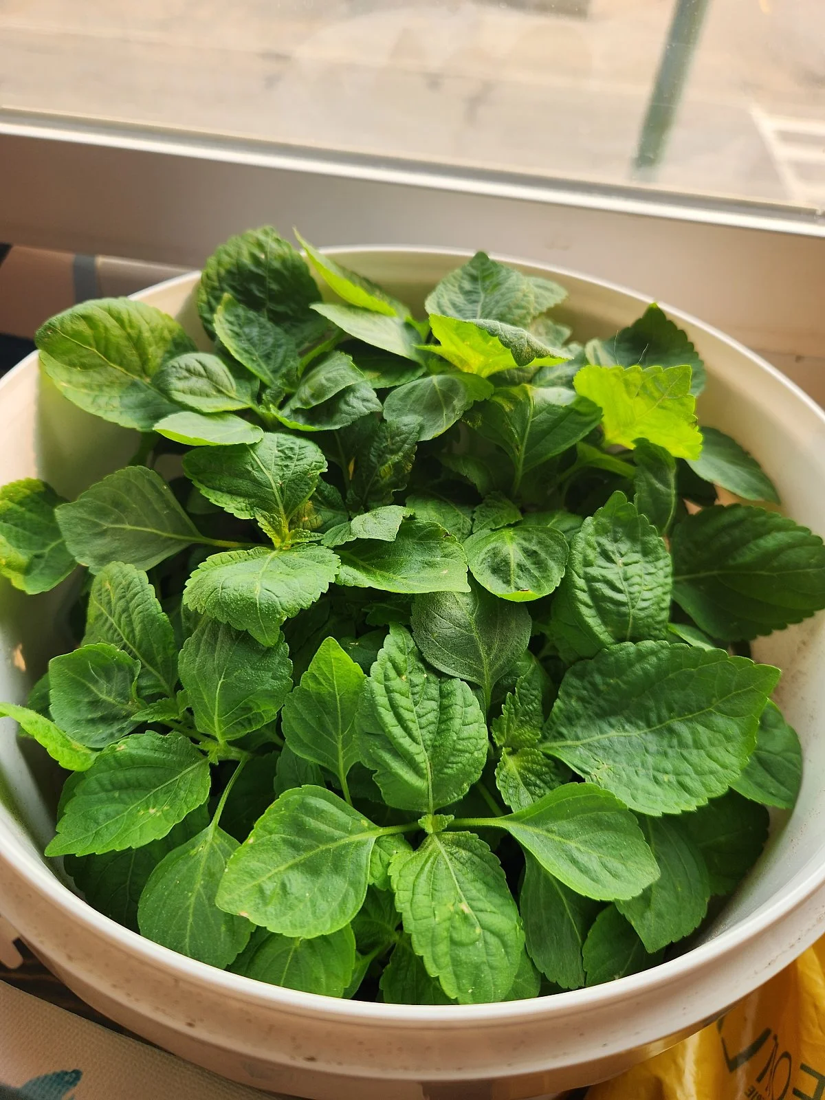 KakaoTalk_20230920_110849833_10.jpg?type=w1200