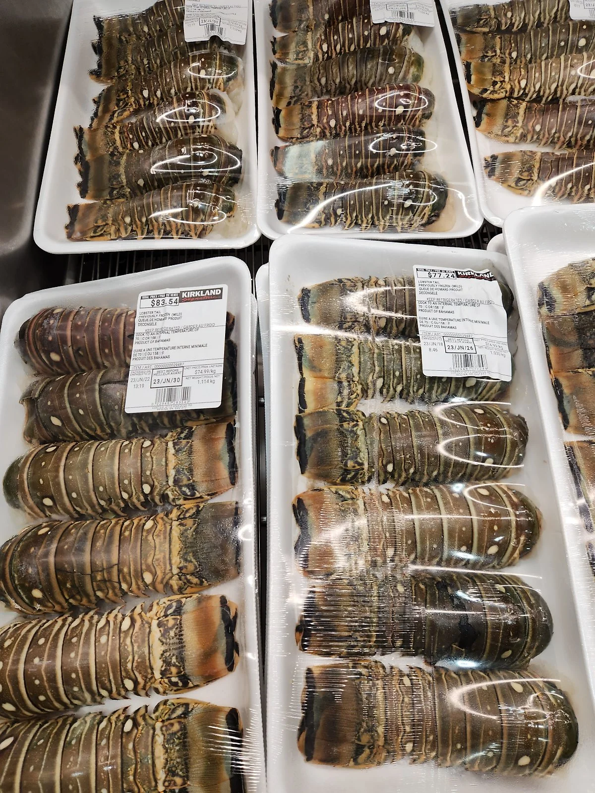 KakaoTalk_20230724_091324554_08.jpg?type=w1200