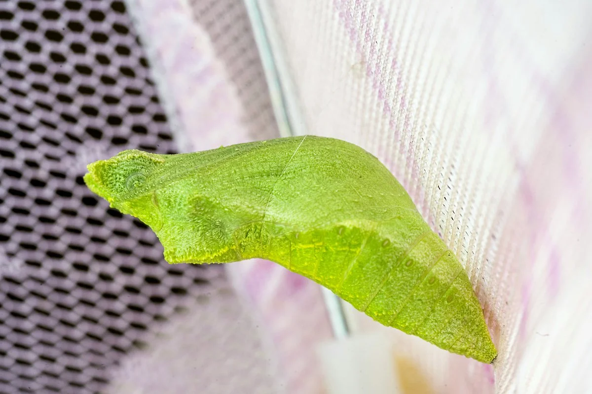 winston-chen-TiV8XtU0MIc-unsplash.jpg?type=w1200