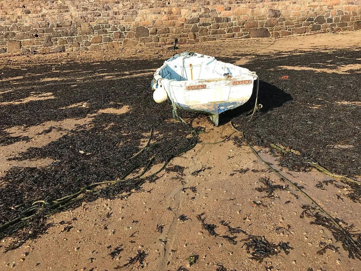 jacob-meissner-2HZ0RpzUwWs-unsplash.jpg?type=w1200