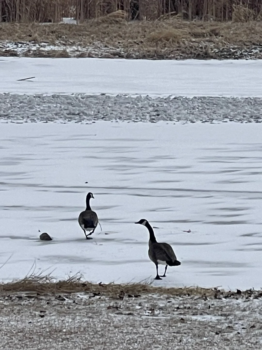 KakaoTalk_20240401_100130231.jpg?type=w1200