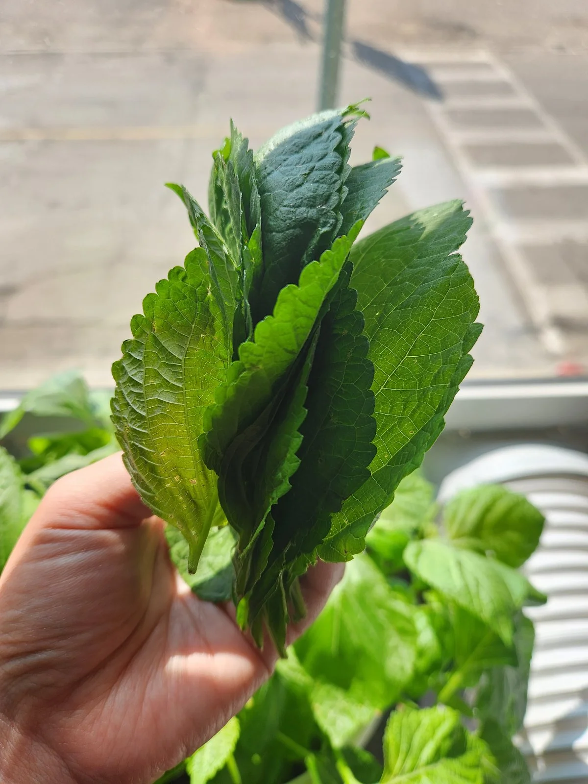 KakaoTalk_20230920_110849833_18.jpg?type=w1200