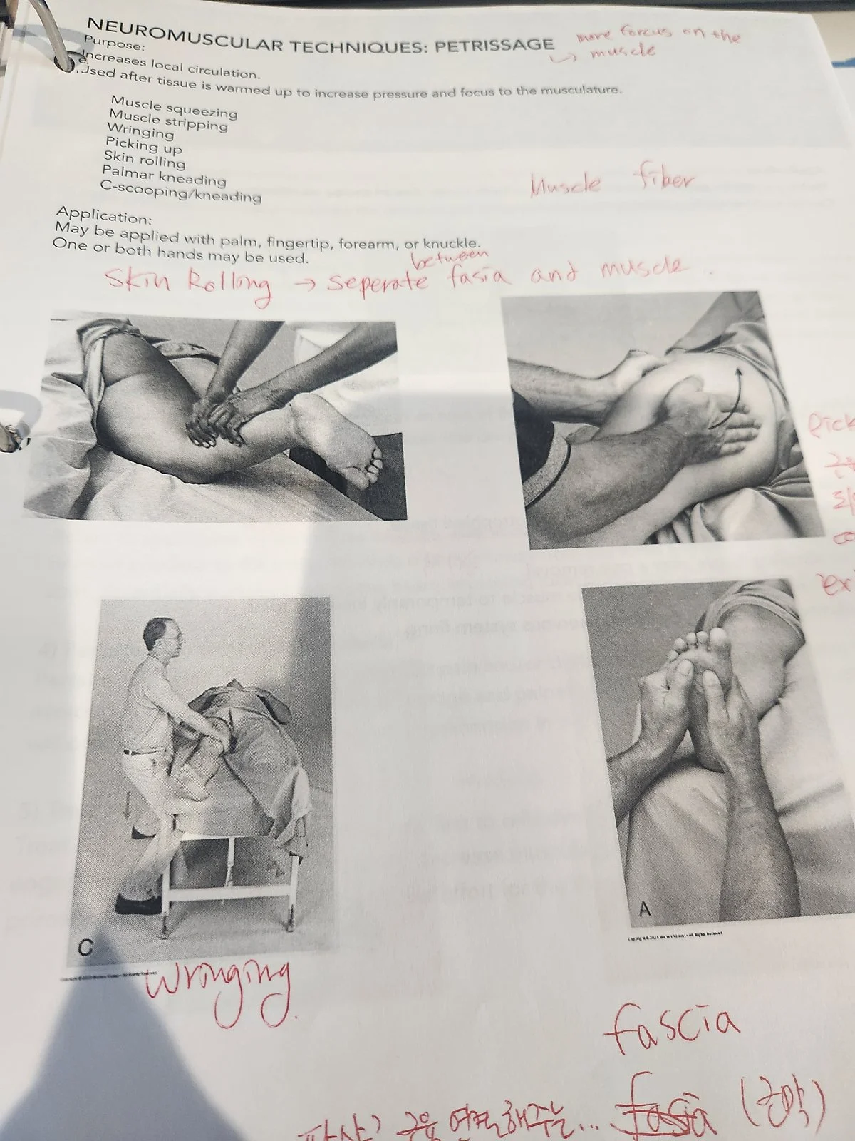 image_1070075761733511072686.jpg?type=w1200