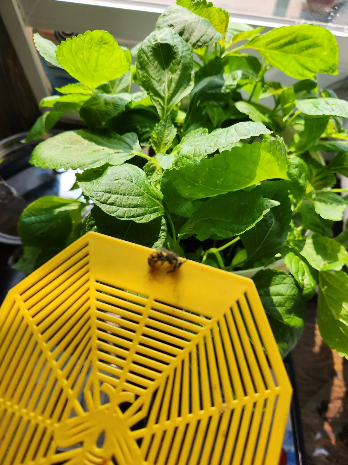 KakaoTalk_20230920_110849833_14.jpg?type=w1200