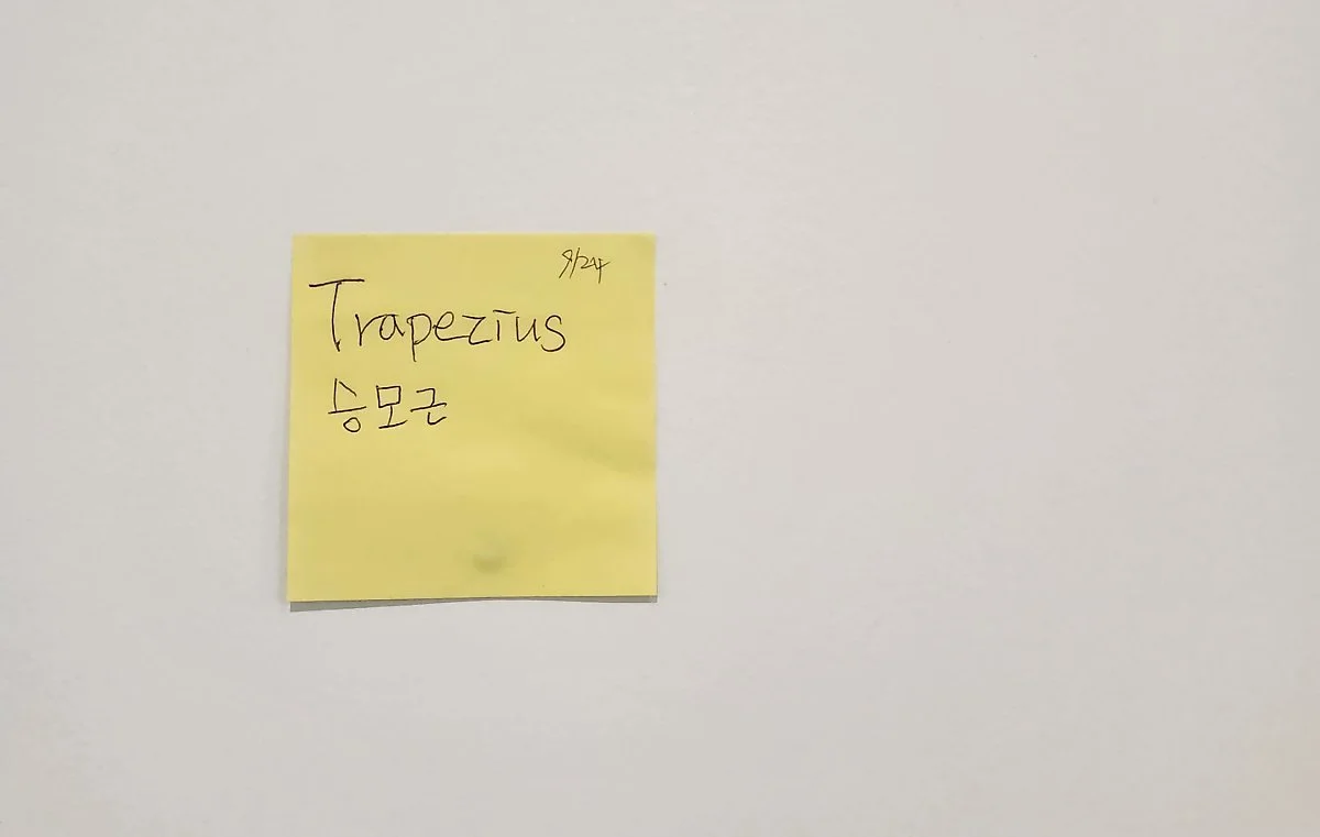 image_1965439151727196348428.jpg?type=w1200