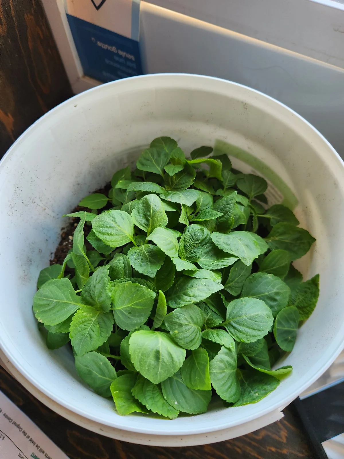 KakaoTalk_20230920_110849833_09.jpg?type=w1200