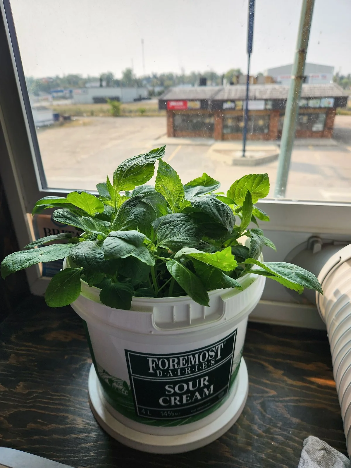 KakaoTalk_20230920_110849833_15.jpg?type=w1200