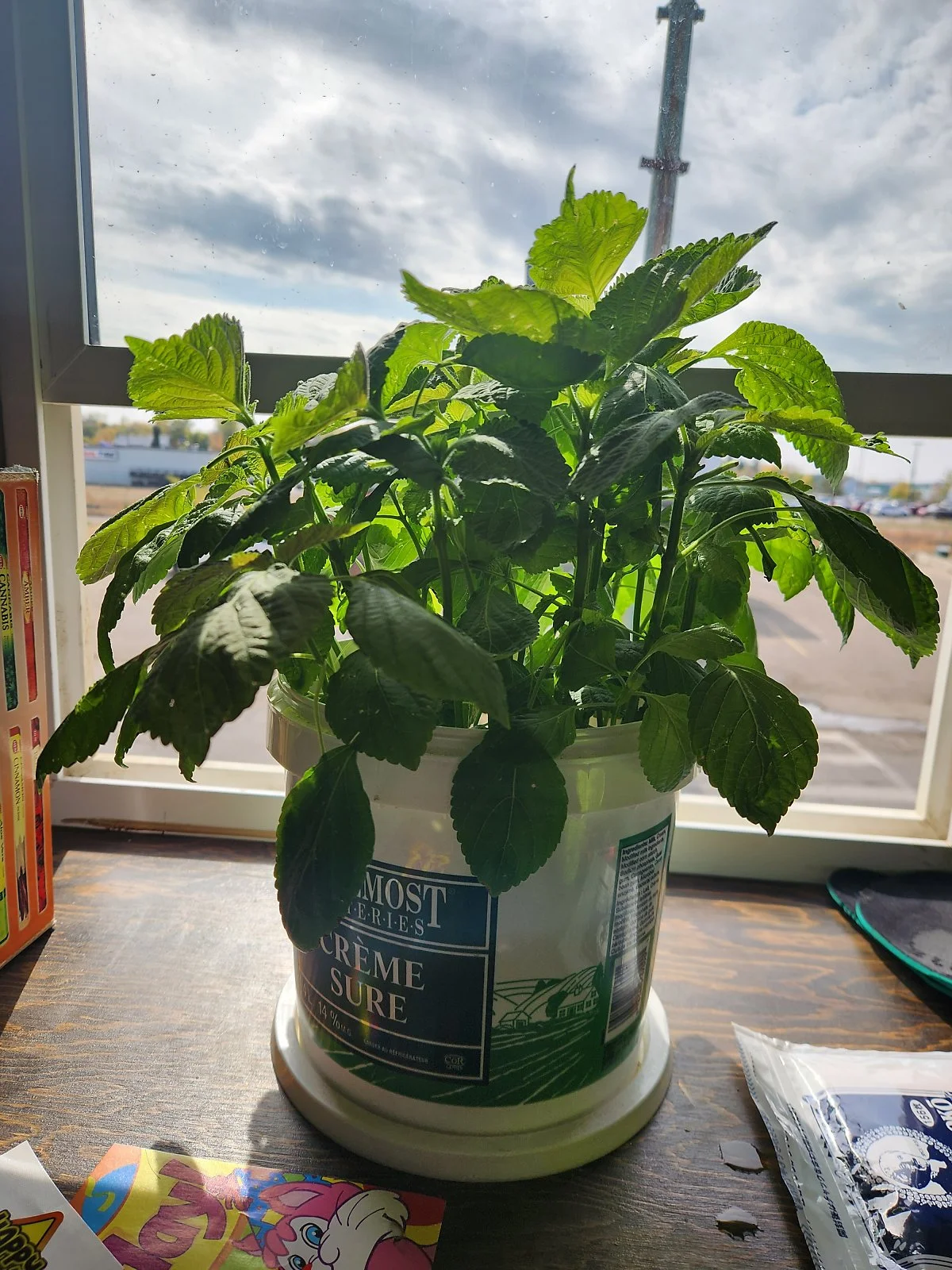 KakaoTalk_20230921_123925271_01.jpg?type=w1200