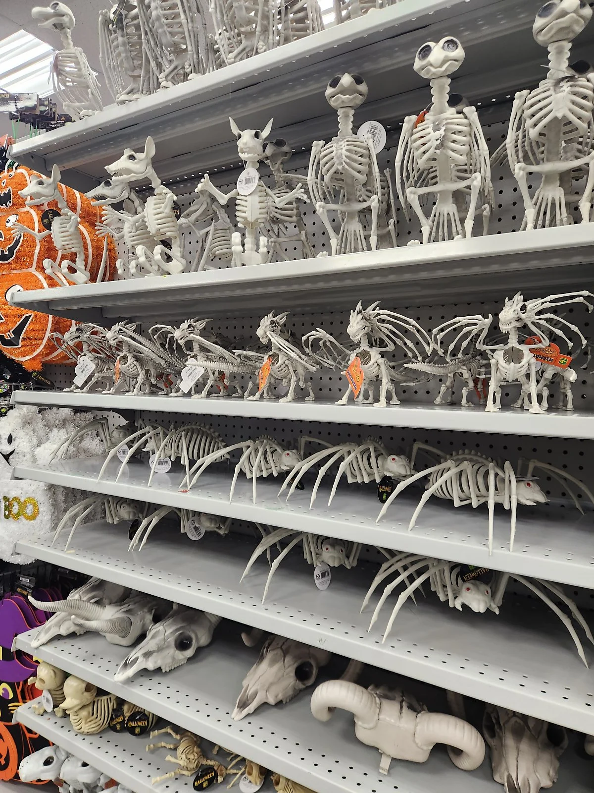 KakaoTalk_20231102_110241343_10.jpg?type=w1200