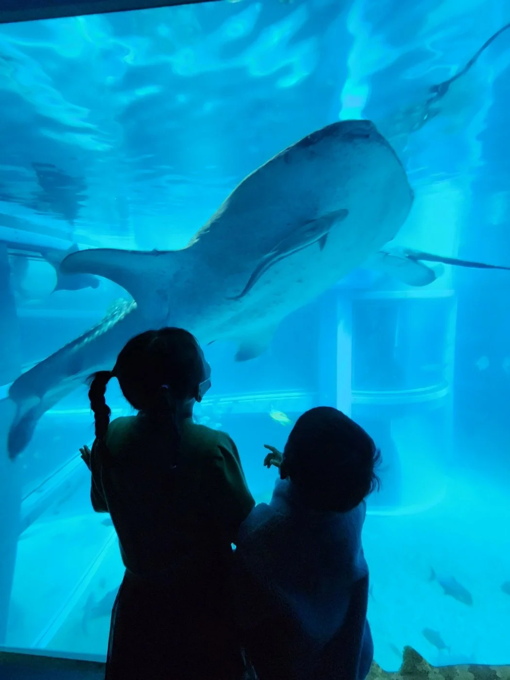 KakaoTalk_20230308_152324709_11.jpg?type=w1200