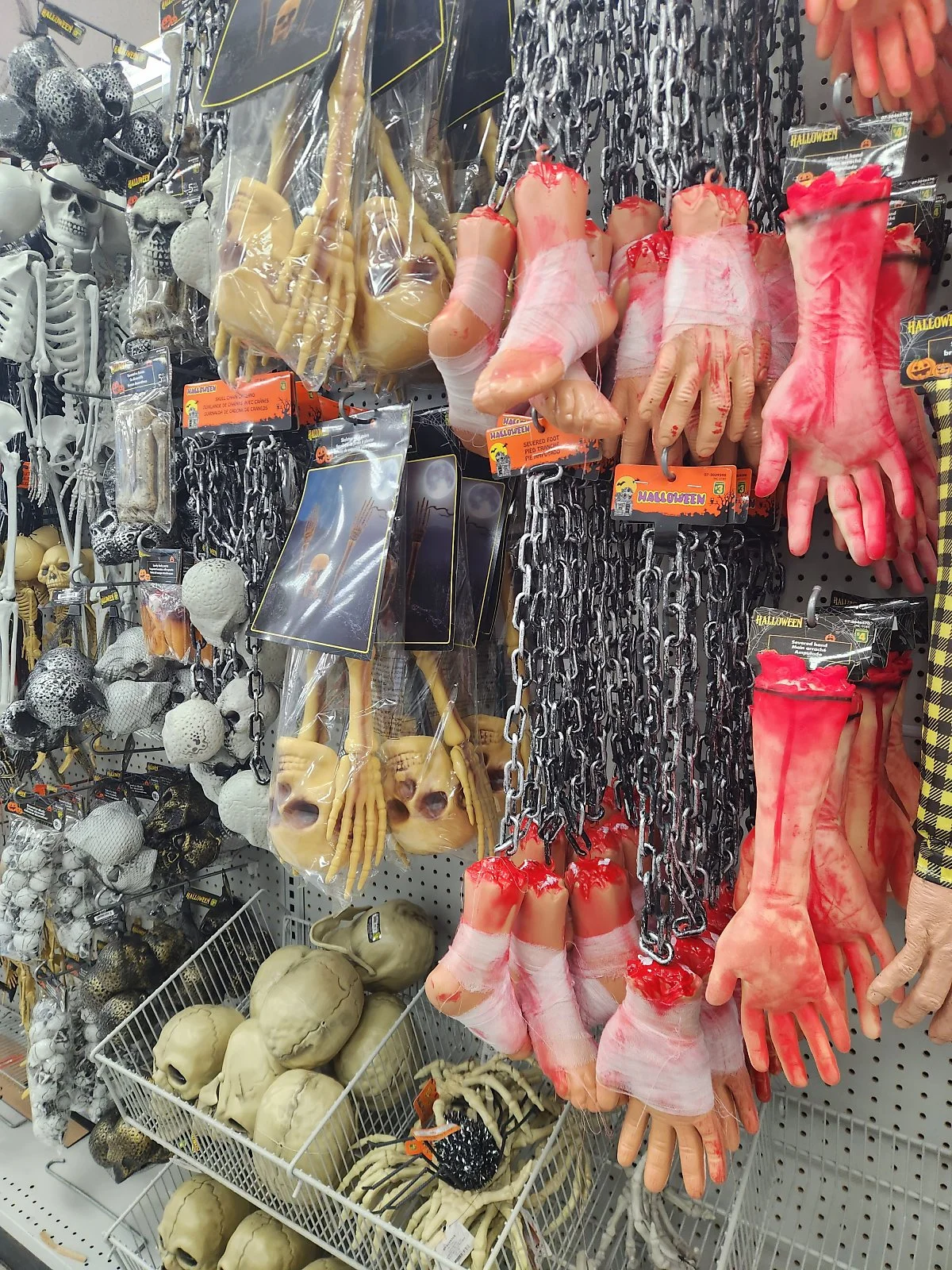 KakaoTalk_20231102_110241343_09.jpg?type=w1200