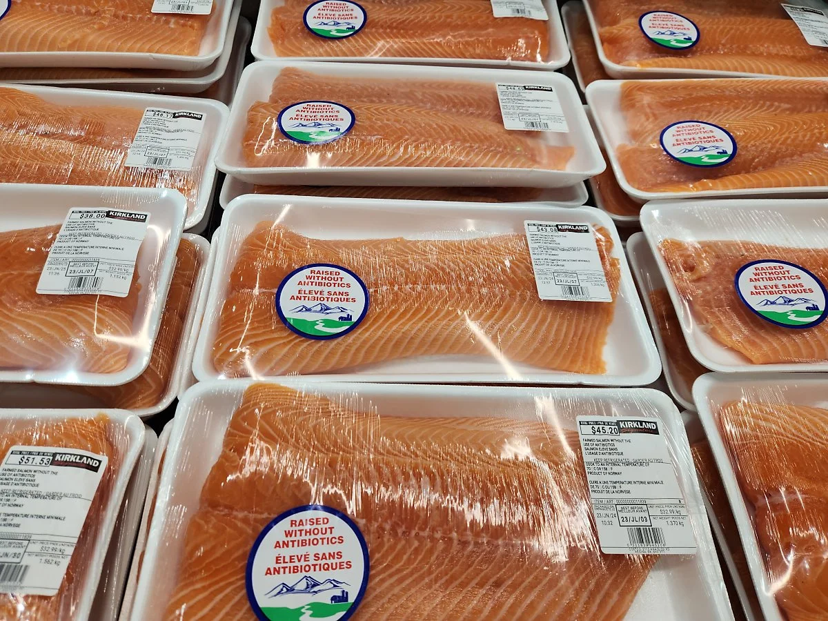 KakaoTalk_20230724_091324554_09.jpg?type=w1200