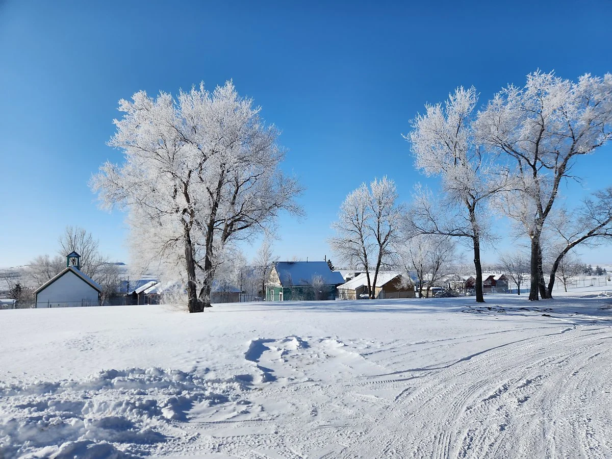 KakaoTalk_20240308_100306565_01.jpg?type=w1200