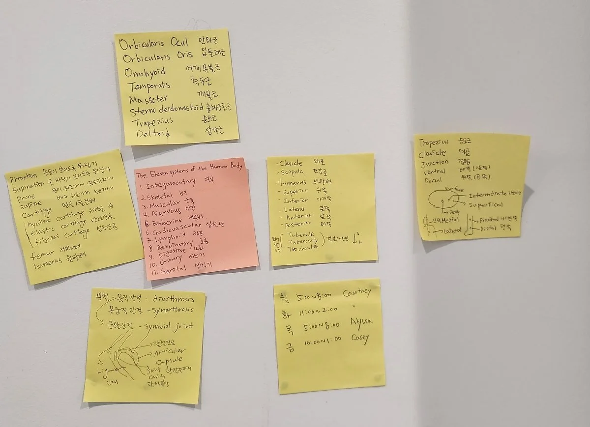 image_4829655921727196083976.jpg?type=w1200