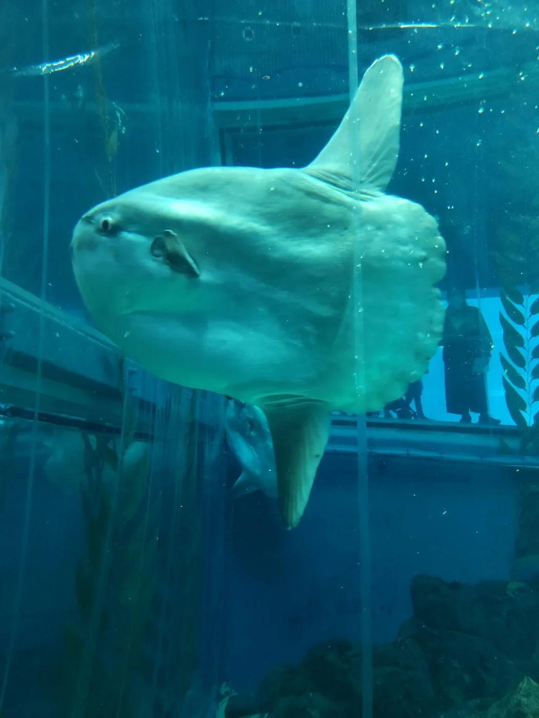 KakaoTalk_20230308_152324709_10.jpg?type=w1200