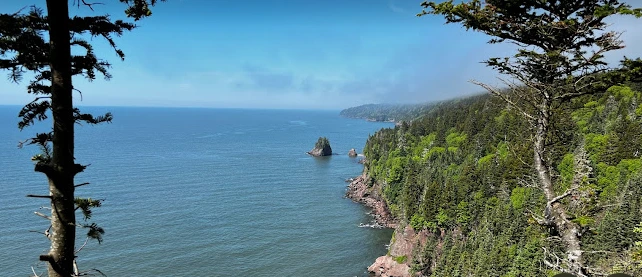 image.png?type=w1200