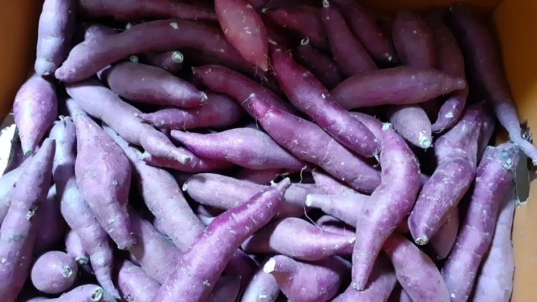 1578038269433.jpg?type=w773