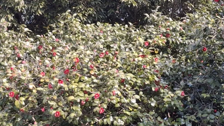 900%EF%BC%BF20250309%EF%BC%BF111713.jpg?type=w773