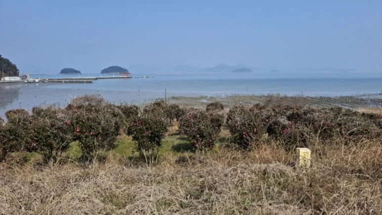 900%EF%BC%BF20250309%EF%BC%BF120501.jpg?type=w773