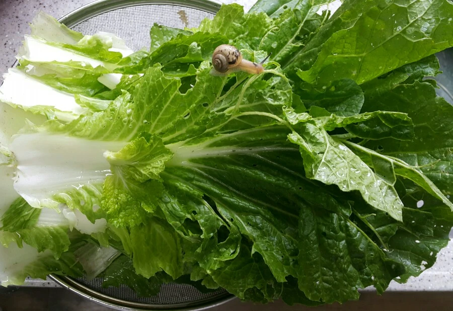 1590302119708.jpg?type=w1