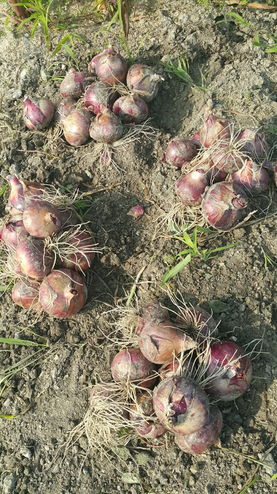 1592740645841.jpg?type=w1