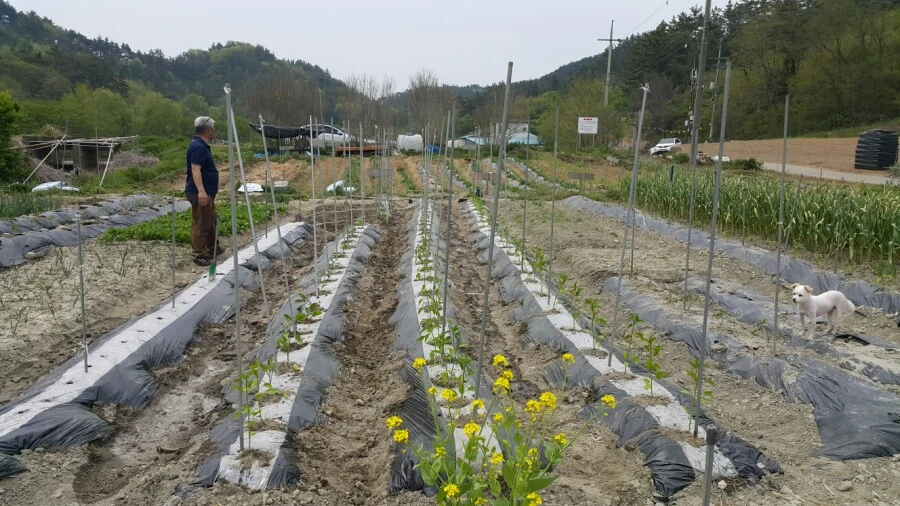 1588411336661.jpg?type=w1