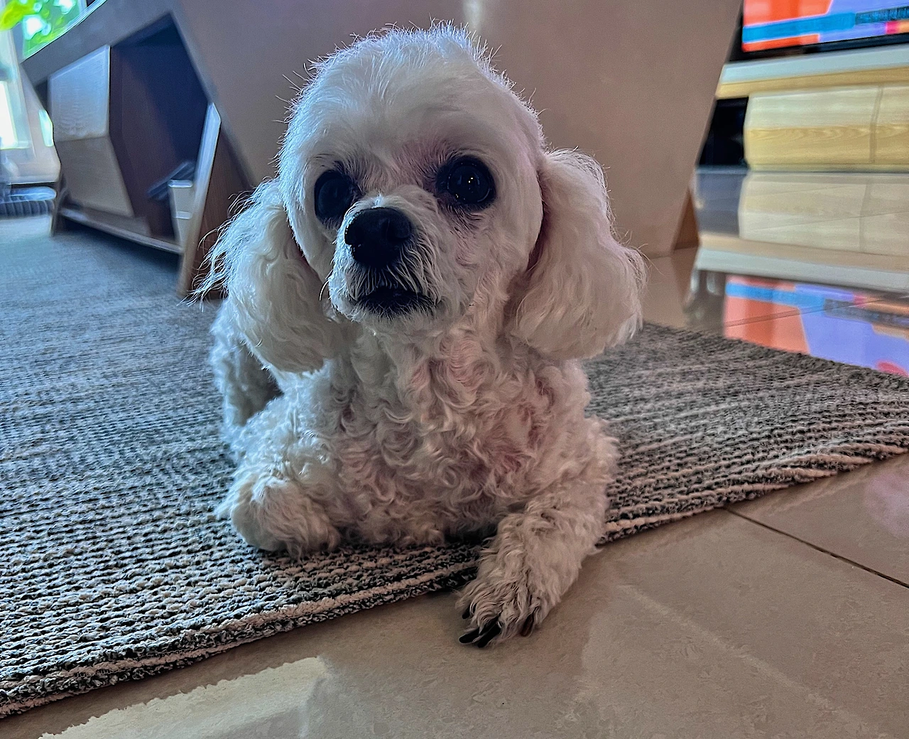 33B3DCEA-CC4D-4C38-881C-111982BBF67D 2.JPG