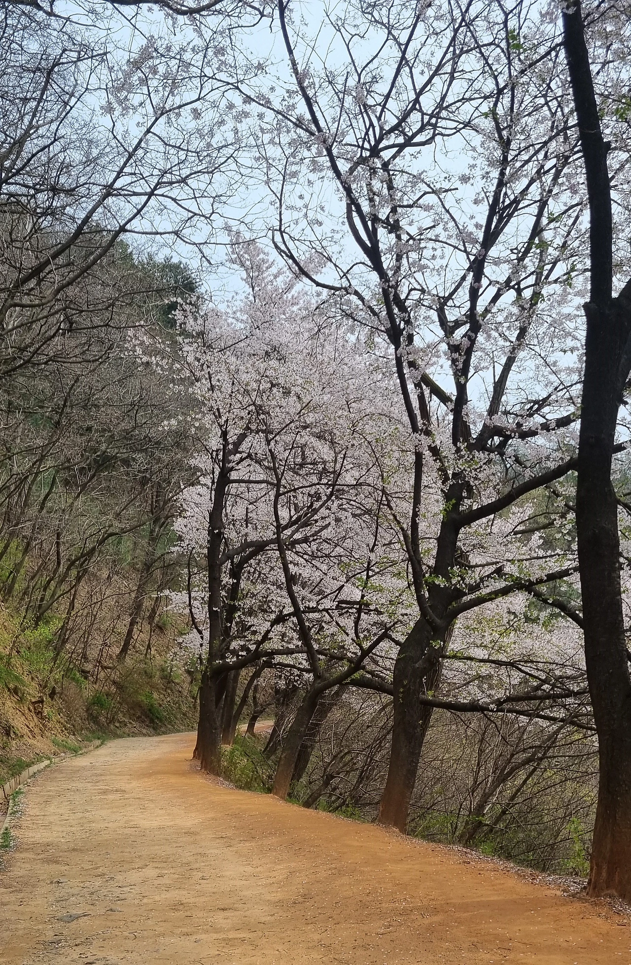 ea6dbf422ebf6506bd8dfa23a7691a3f9b184e34