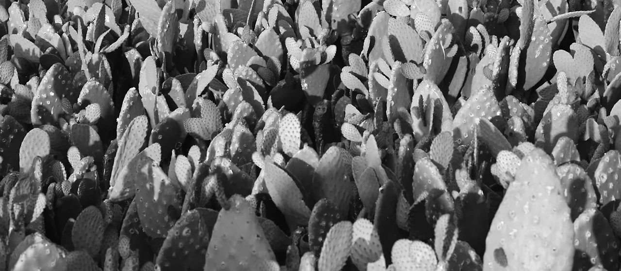 스크린샷 2023-10-07 오후 10.31.31.jpeg