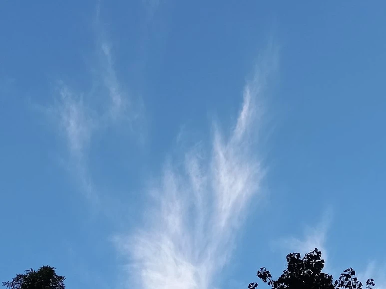 20220827_0620491.jpg?type=w773