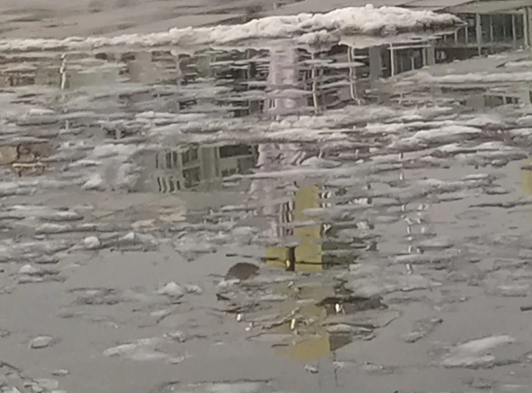 20210113_152827(1)1.jpg?type=w773