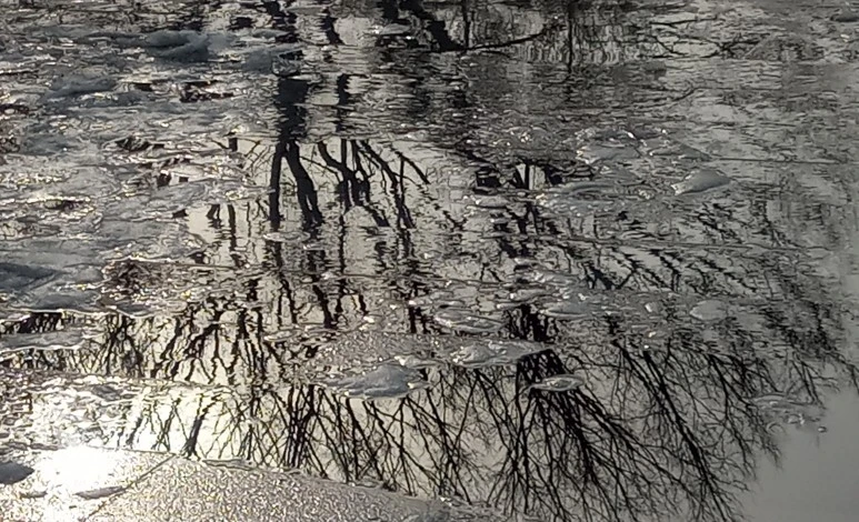 20210113_152951_Burst01(1)1.jpg?type=w773