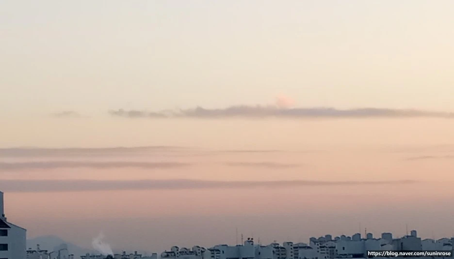 SE-37666519-6ba0-4f24-a884-e65de771d261.jpg?type=w1