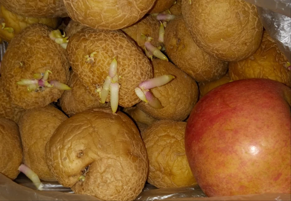 20210101_232248(1)1.jpg?type=w1