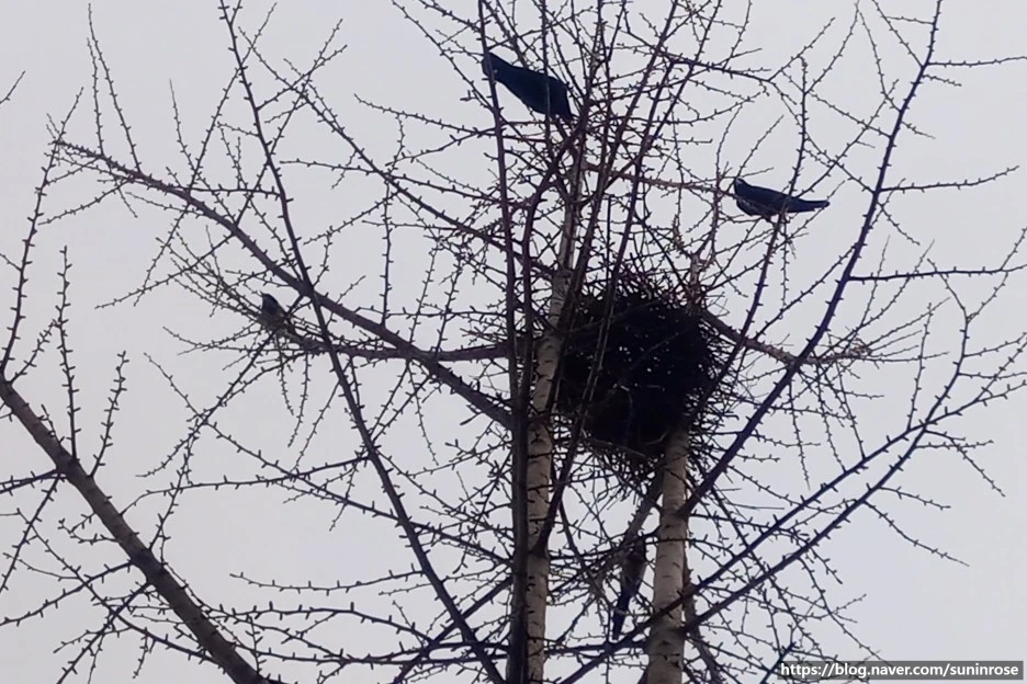 SE-6ec42ff3-e0ef-4cf1-9b20-419815ef88be.jpg?type=w1