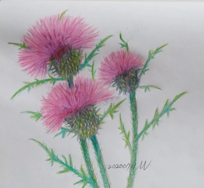 20210711_174811(1)1.jpg?type=w773