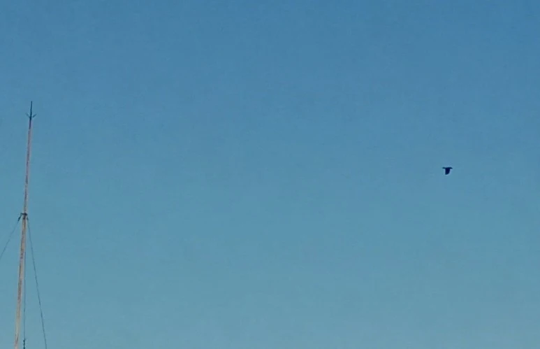 20201215_084120(2)1.jpg?type=w773