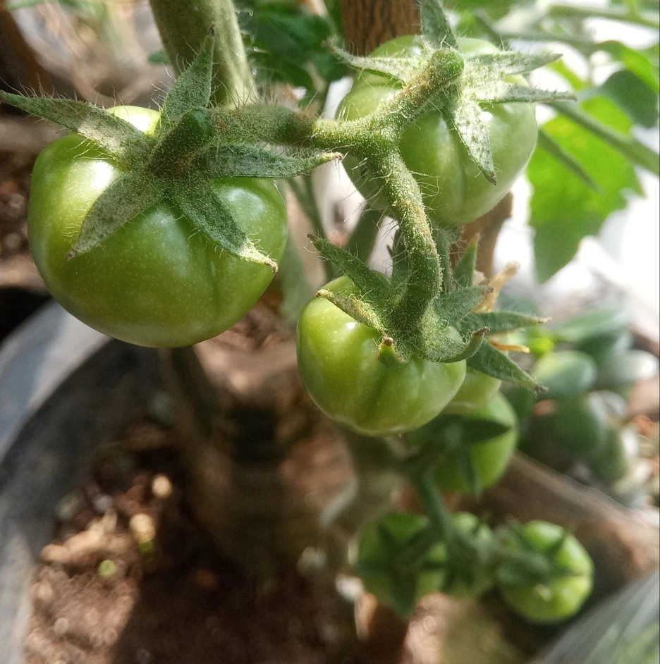 20220327_095843(1)1.jpg?type=w1