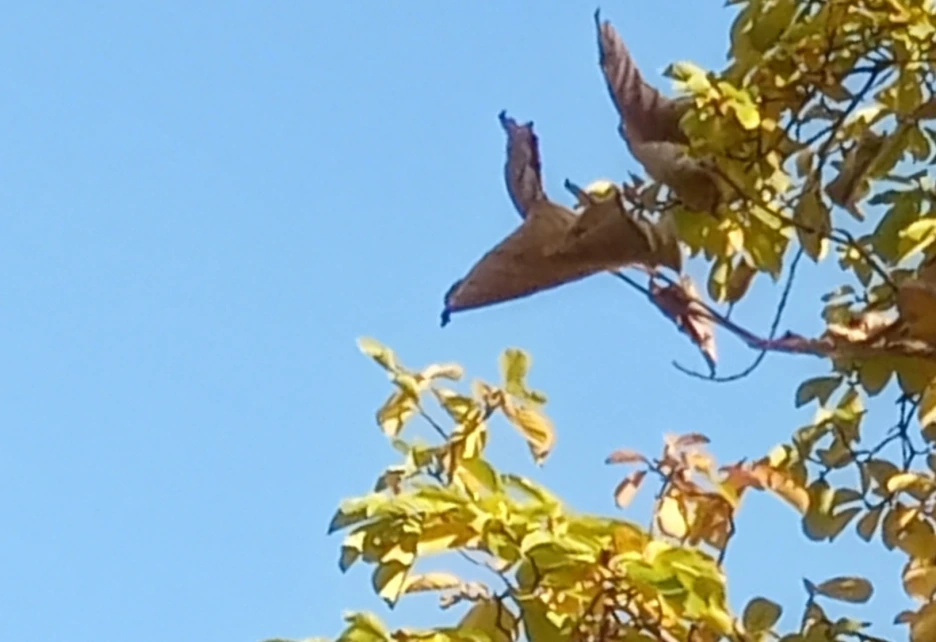 SE-ec7632aa-30dd-4652-934e-4ef1d55c7c21.png?type=w1