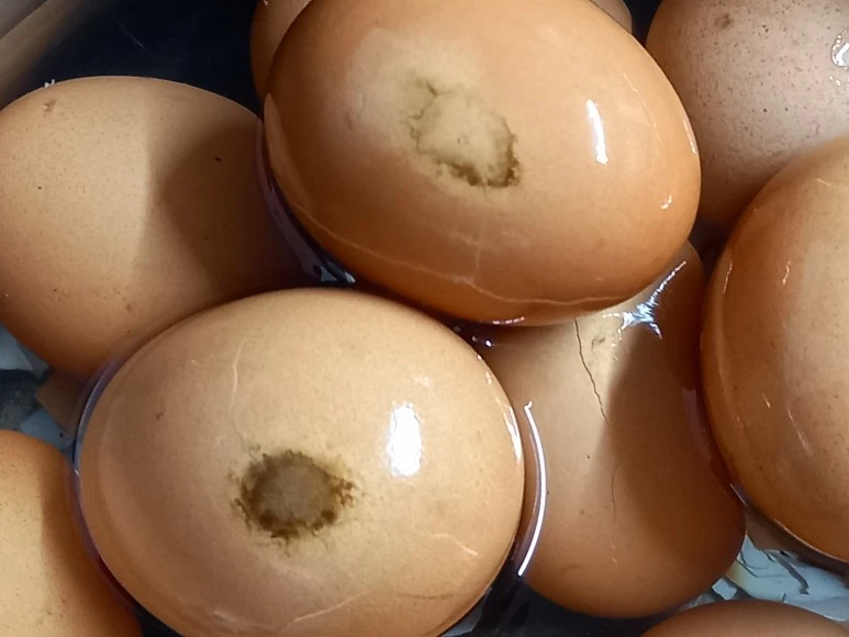 20220808_1720571.jpg?type=w773