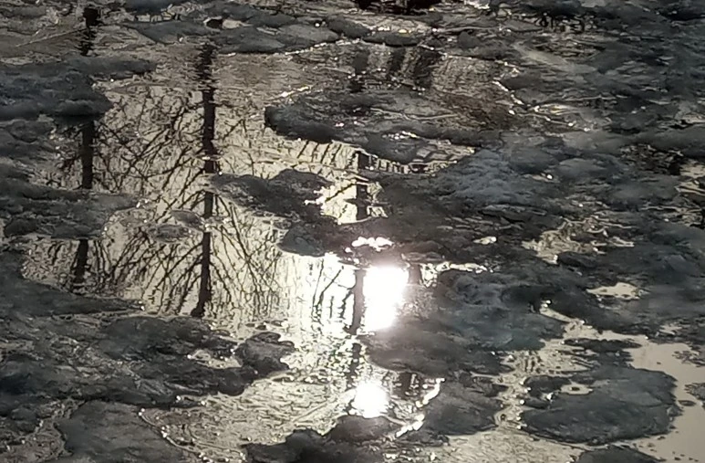 20210113_152936(1)1.jpg?type=w773