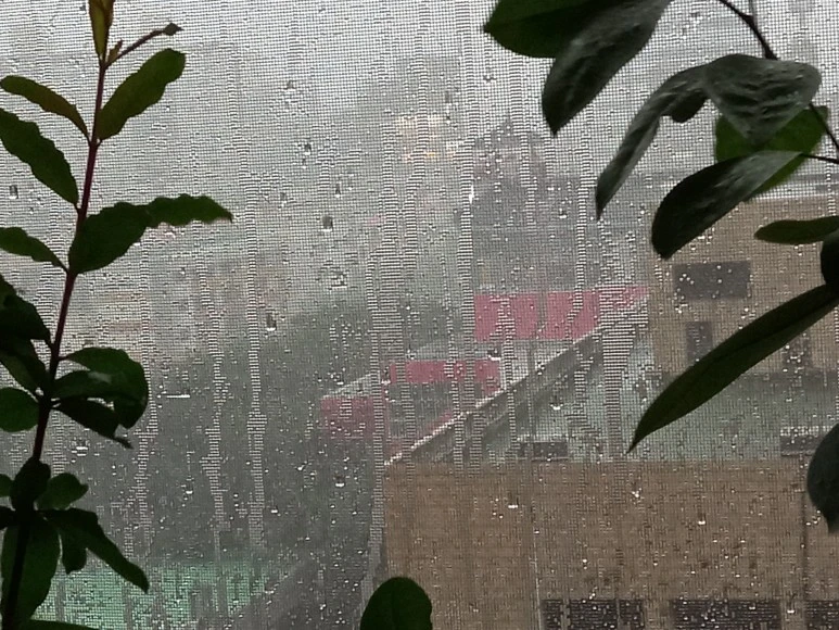 20220808_1804521.jpg?type=w773