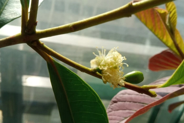 20210203_104054(1)1.jpg?type=w773