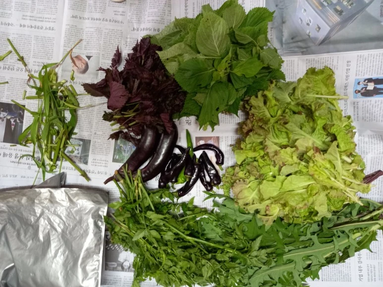 20220710_1302371.jpg?type=w773