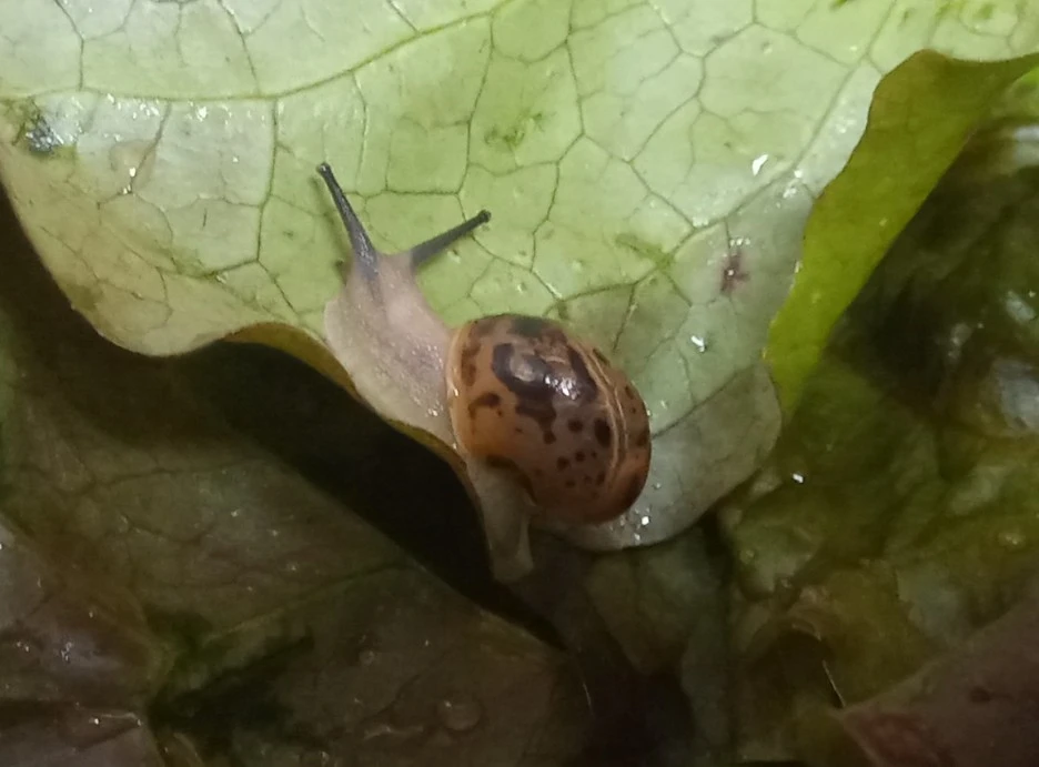 20210516_215800(1)1.jpg?type=w1