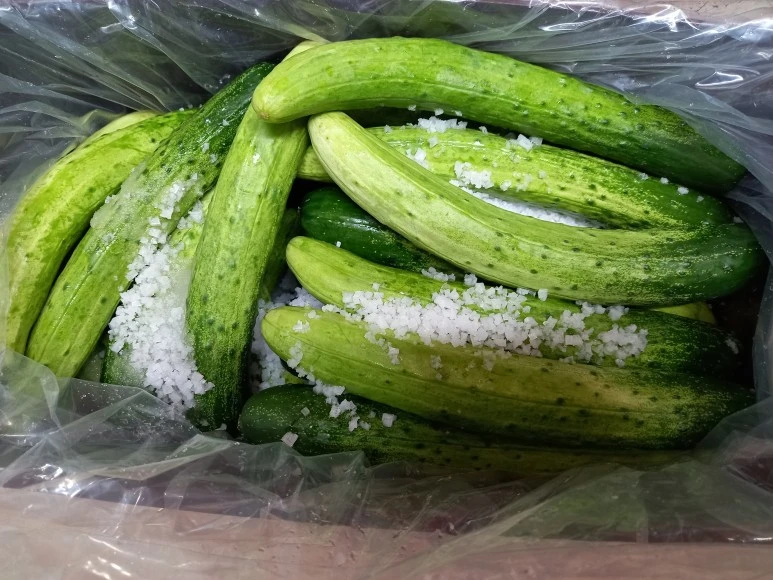 20220606_1411081.jpg?type=w773