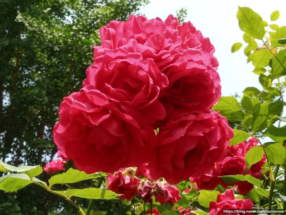 SE-410a4b0f-0026-4863-8e3b-e08cc959300e.jpg?type=w1